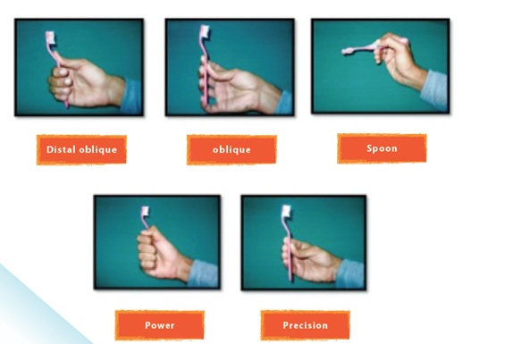 Influence of Tooth Brush Grips and Brushing Techniques on Plaque Removal Efficacy 