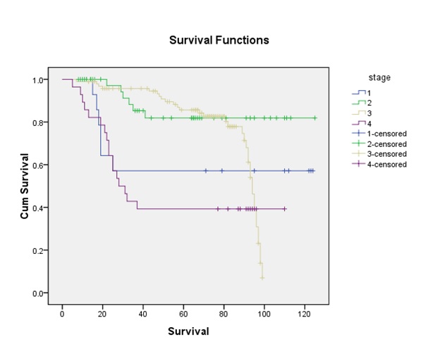 Retrospective Analysis of 5-Year Survival Rate of Nasopharyngeal Carcinoma: Correlation with Clinical Features and Prognosis