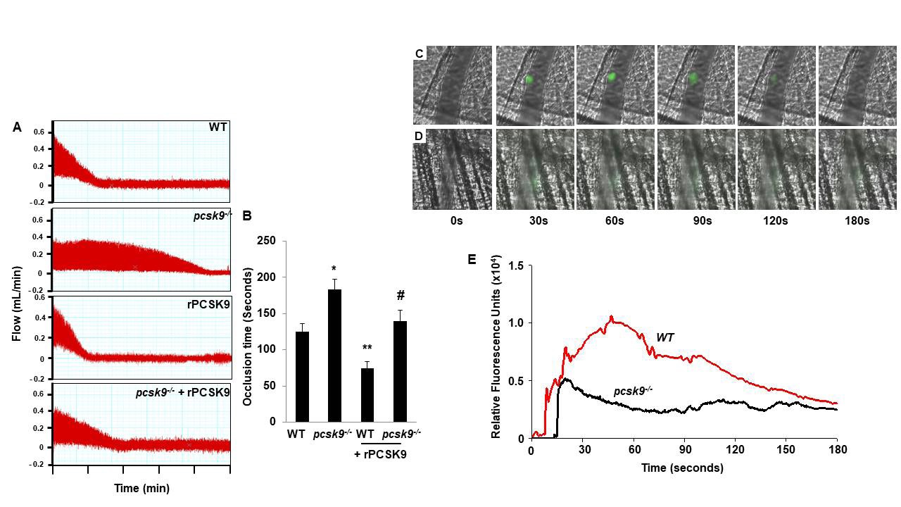 Proprotein Convertase Subtilisin/Kexin Type 9 (PCSK9) Stimulates Platelet-Dependent Arterial Thrombosis