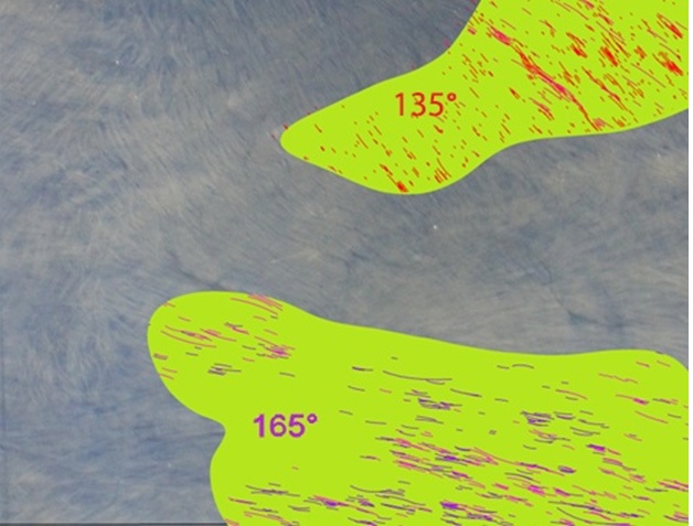 A Simple and Novel Method to Analyze the Fine Texture of Biomaterials: Applications for Product Design, Manufacturing and Preclinical Assessment