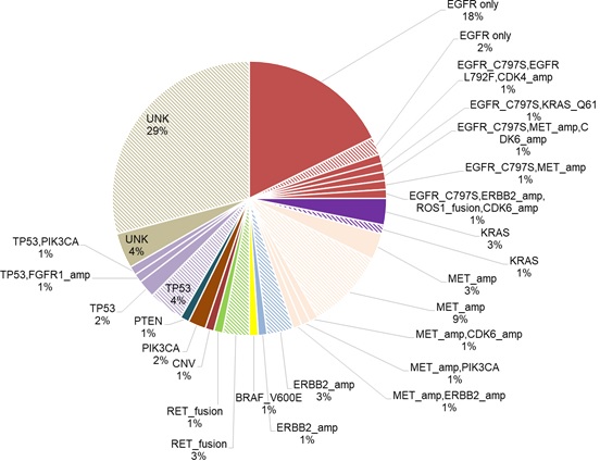 Survival outcomes Associated with Various Resistance Mechanisms of Osimertinib in Chinese Advanced Non-Small Cell Lung Cancer Patients