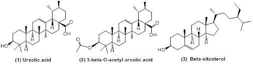 Chemical Components Isolated from The Ethyl Acetate Extraction of The Roots of Radix Actinidia Chinensis