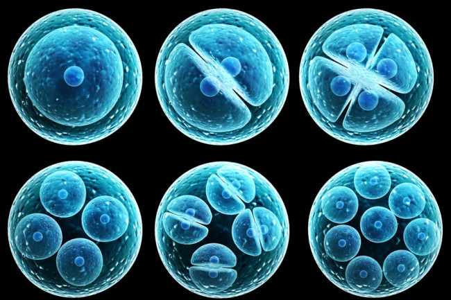 CD34+ Very Small Embryonic-like Stem Cells or Induced Pluripotent Stem Cells for Cardiac Repair?